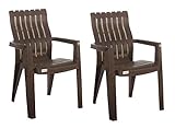 Varmora Plastic Lumber Back Support Chair (Wood Colour,Brown)- Set of 2