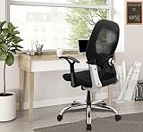 SAVYA HOME Apollo Medium Office Chair