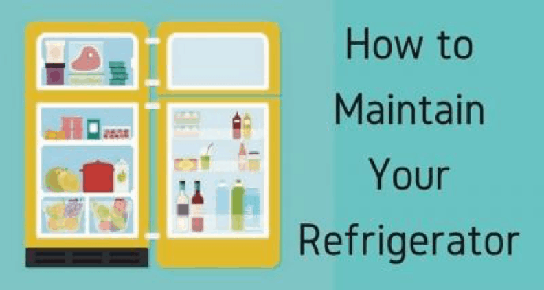 Best Methodologies To Keep Your Refrigerators Organized & Clean 1