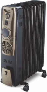 Bajaj Majesty RH 11F Plus PTC Fan Heater Review
