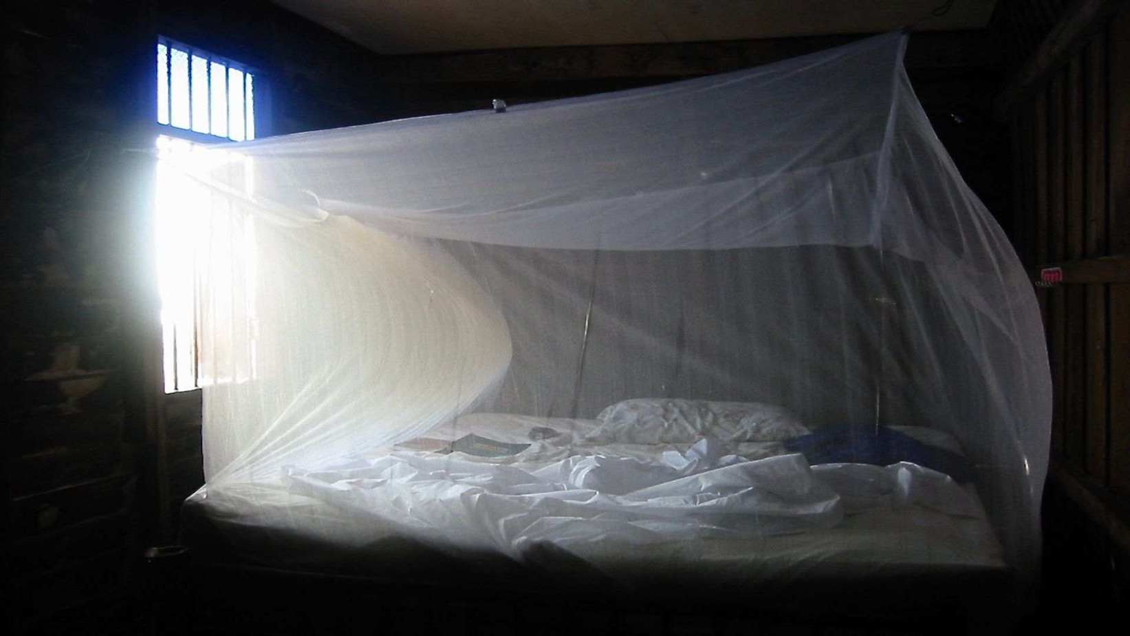 5 Best Mosquito Nets In India