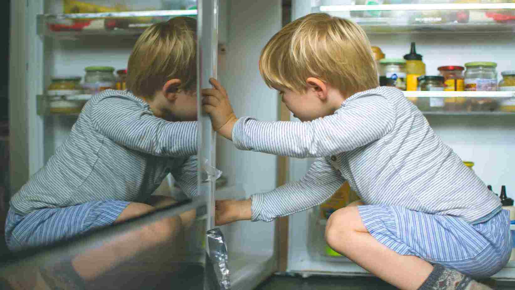 Types Of Bottom Freezer Refrigerators