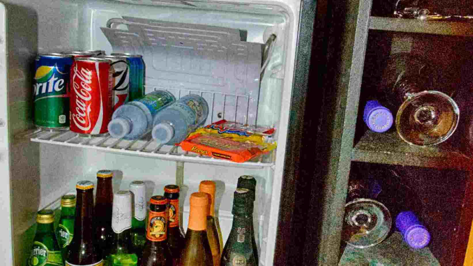 Types Of Mini Refrigerators