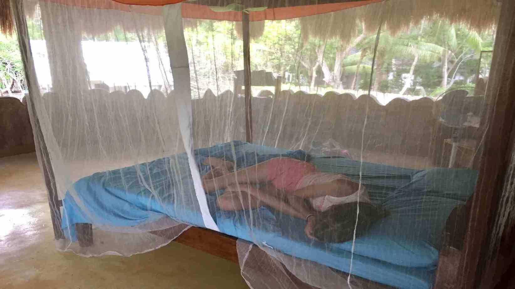 Things To Consider When Buying A Mosquito Nets - Buying Guide