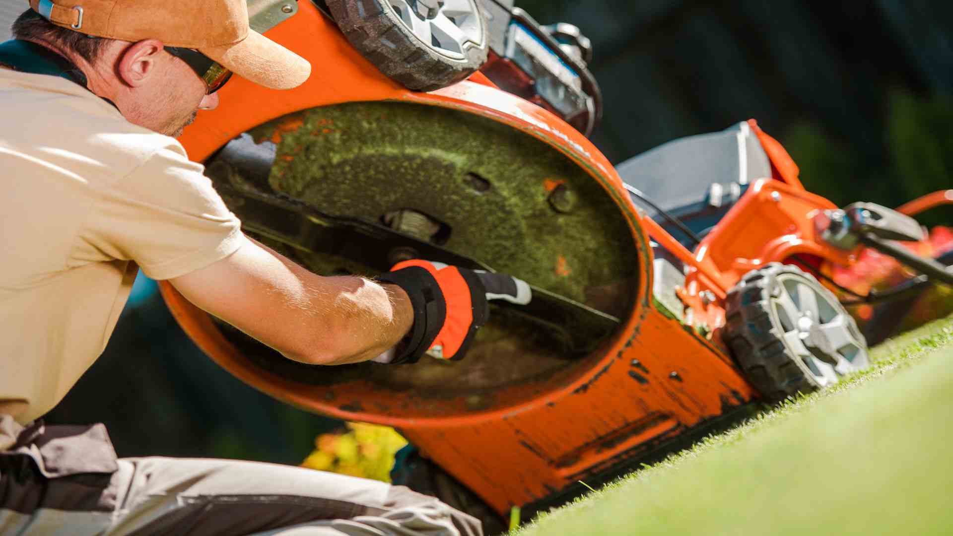 Things To Consider When Buying A Lawn Mower Buying Guide